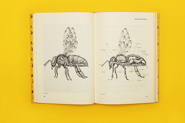 fons-bees-itsnicethat-6.jpg