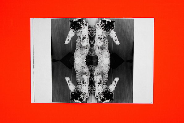 Studio_Reko_Work_In_Progress_It's_Nice_That_4.jpg