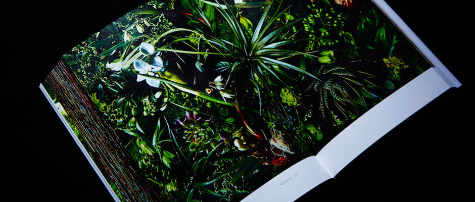 makoto-itsnicethat-hero.jpg