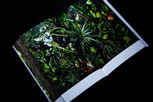 makoto-itsnicethat-2.jpg
