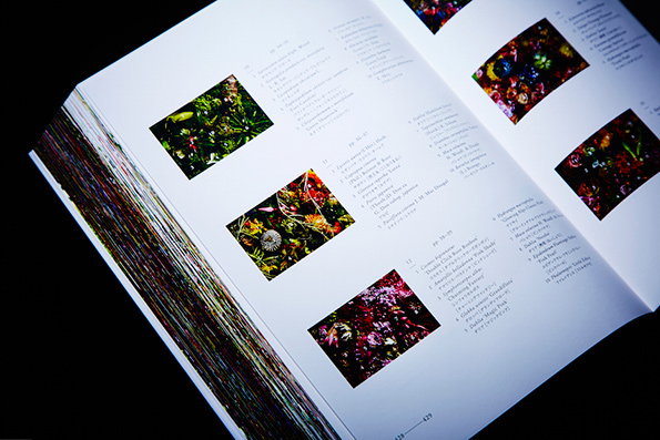 makoto-itsnicethat-5.jpg