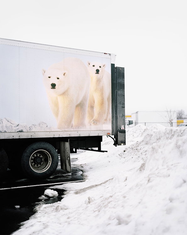 A large white truck is parked beside a high bank of snow. The side of the vehicle features a large image of two polar bears walking through a snowy landscape.