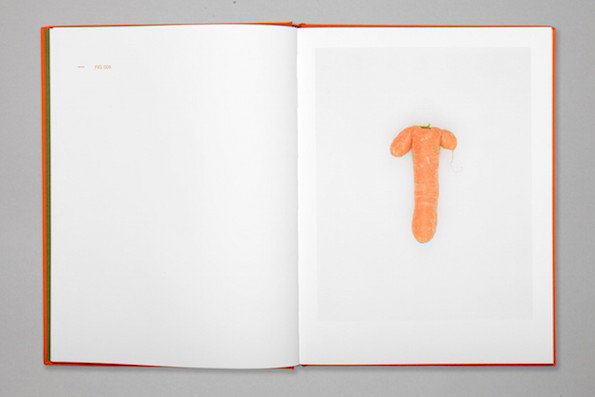 Defective_Carrots_It's_Nice_That_3.jpg