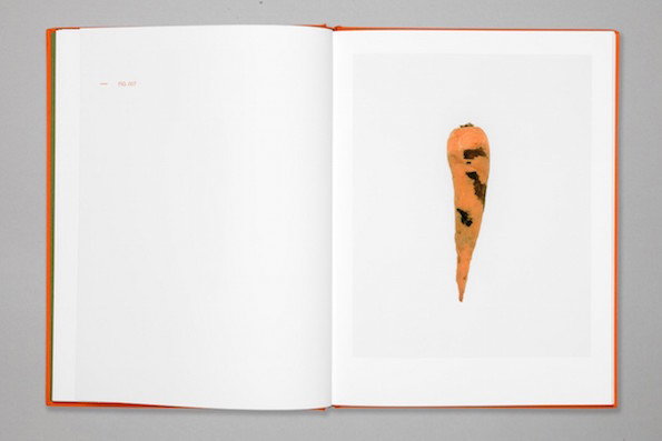 Defective_Carrots_It's_Nice_That_5.jpg