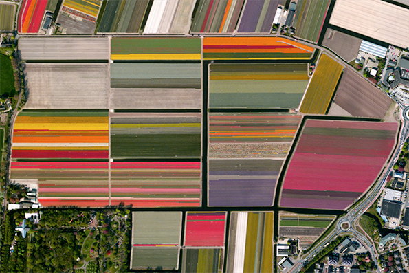 daily-overview-itsnicethat-9.jpg