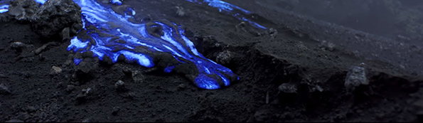 bjork-itsnicethat-5.jpg