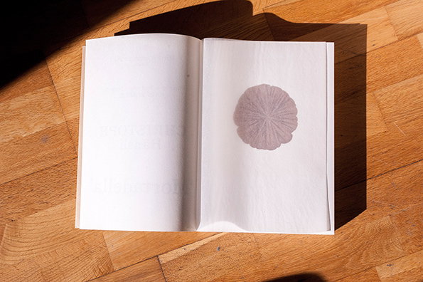 come-de-bouchony-itsnicethat-mortadella-3.jpg