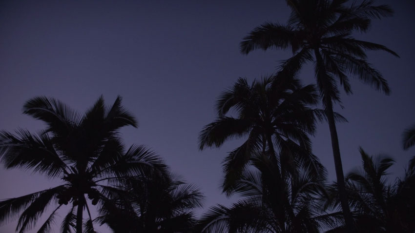 heavydreamers_itsnicethat_05.jpg