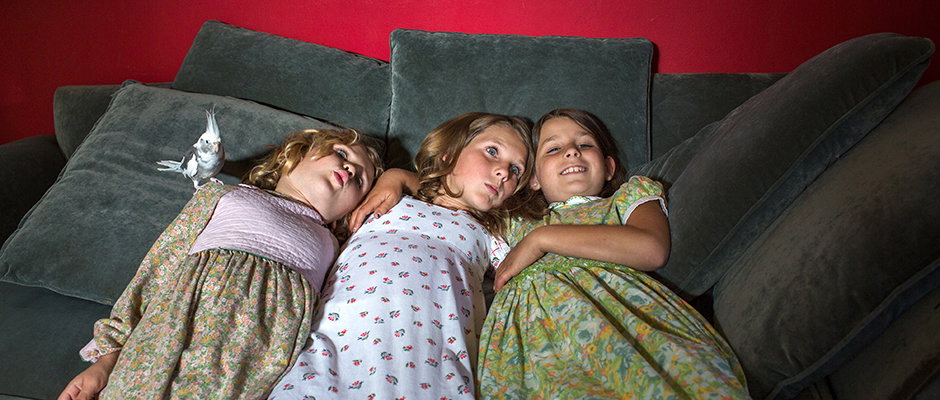 Isabel_Magowan_Cygnets_itsnicethat_hero2.jpg