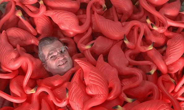 flamingo_man.jpg