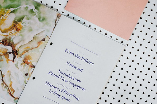 Foreign_Policy_BrandGuideSingapore_itsnicethat_10.jpg