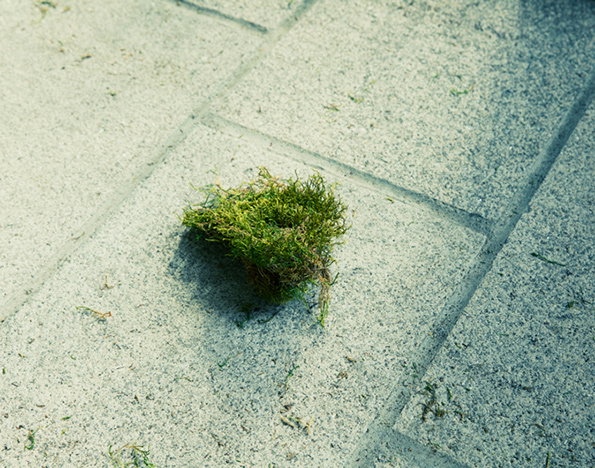 david-vintiner_gem_fletcher-itsnicethat-5.jpg