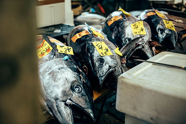 Nico-Tokyo-Fish-Market-itsnicethat-13.jpg