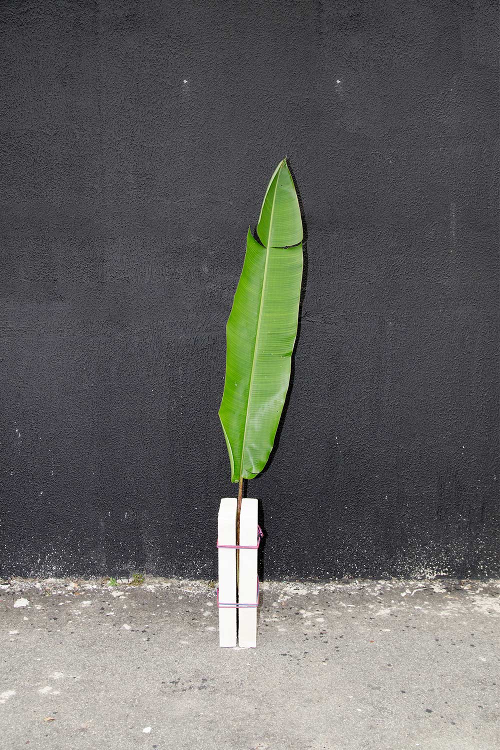 itsnicethat_brazil_3.jpg