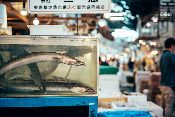 nico-toyko-itsnicethat-new.jpg