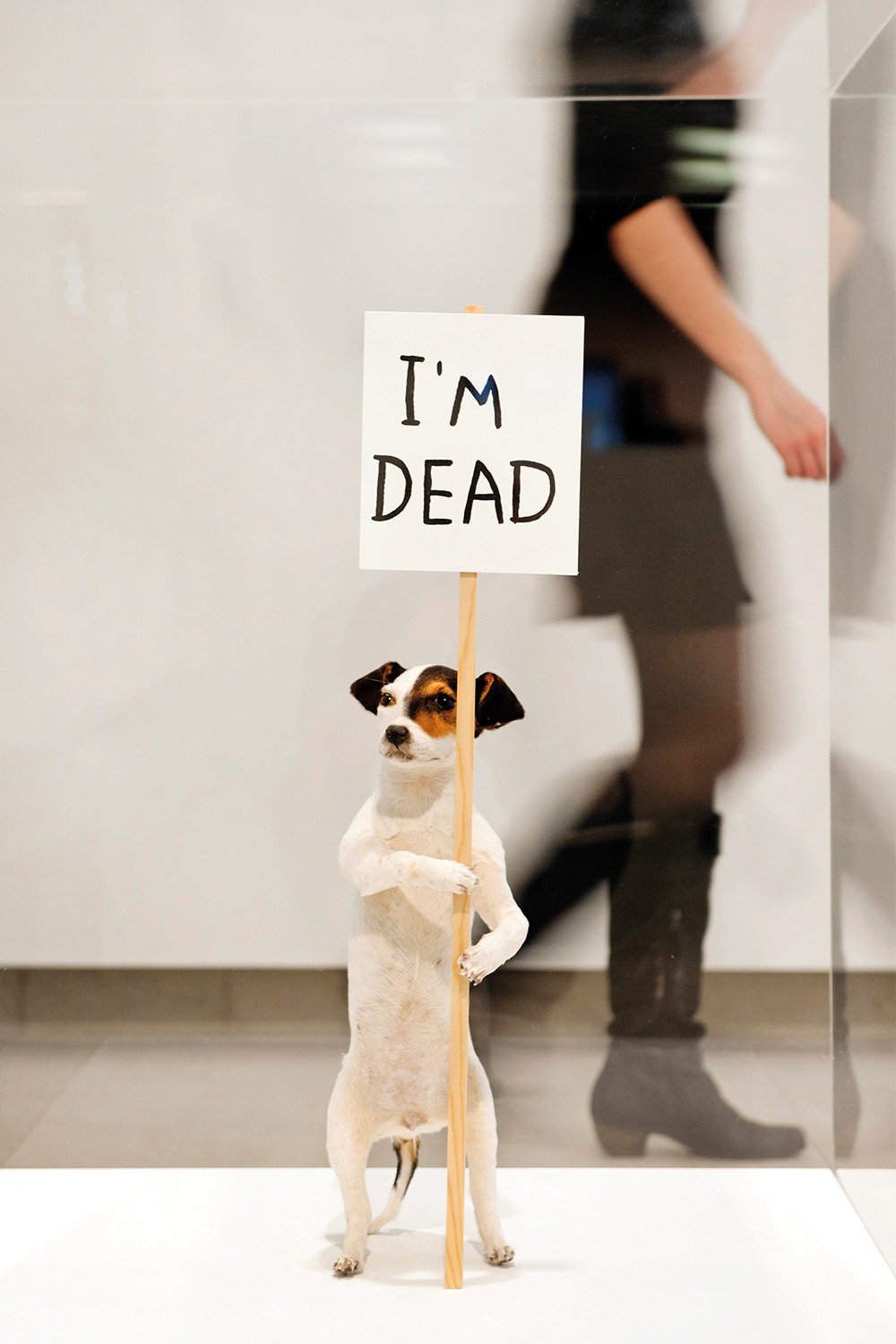 itsnicethat_ralph_2.jpg