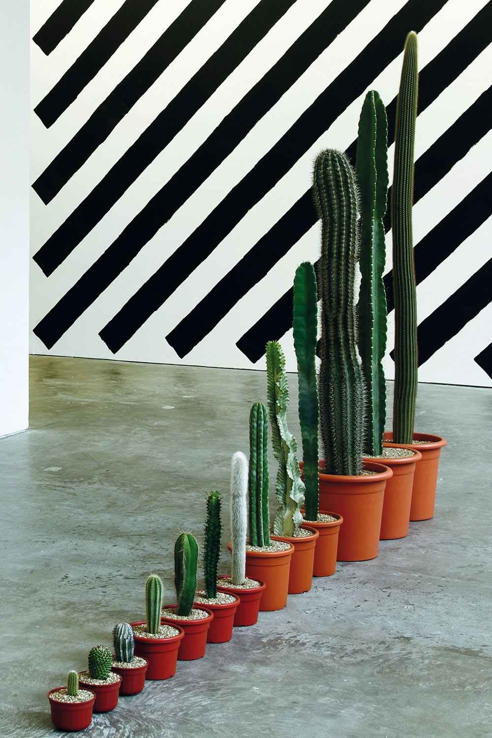 itsnicethat_ralph_3.jpg