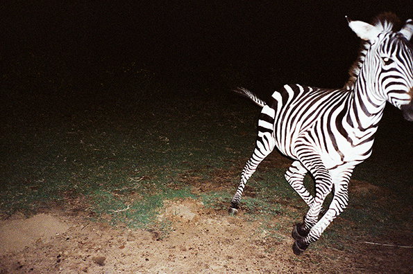 Bryan_Sheffield_itsnicethat_13.jpg