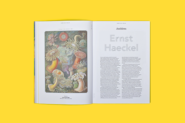 PP_Summer14_spread1.png
