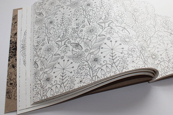 Johanna-Basford-colouring-its-nice-that-top.jpg