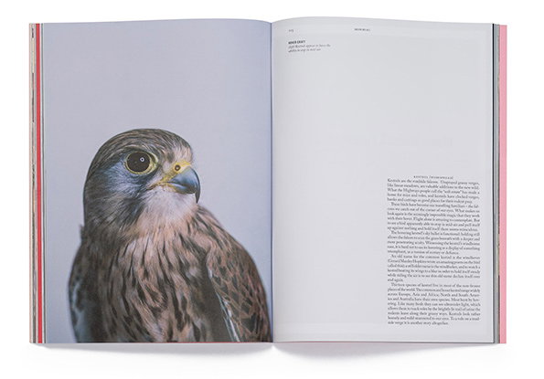 mondial-itsnicethat-6.jpg
