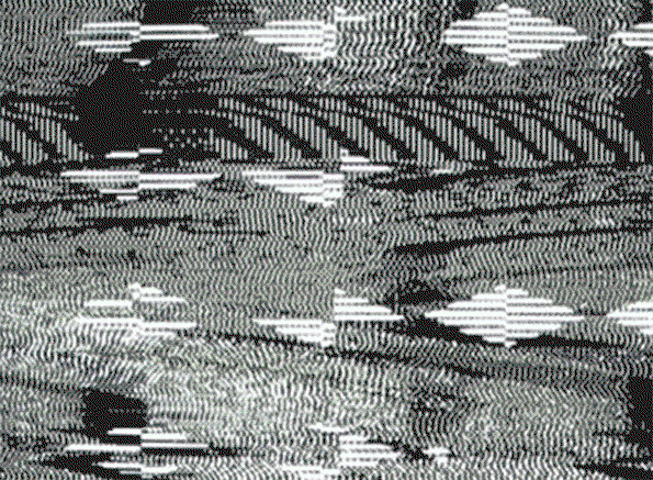 3.gif
