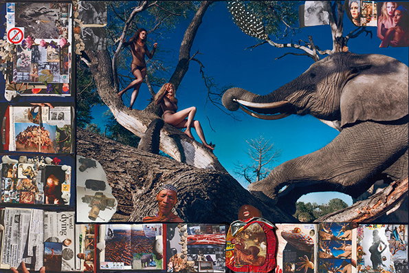 pirelli-itsnicethat-5.jpg