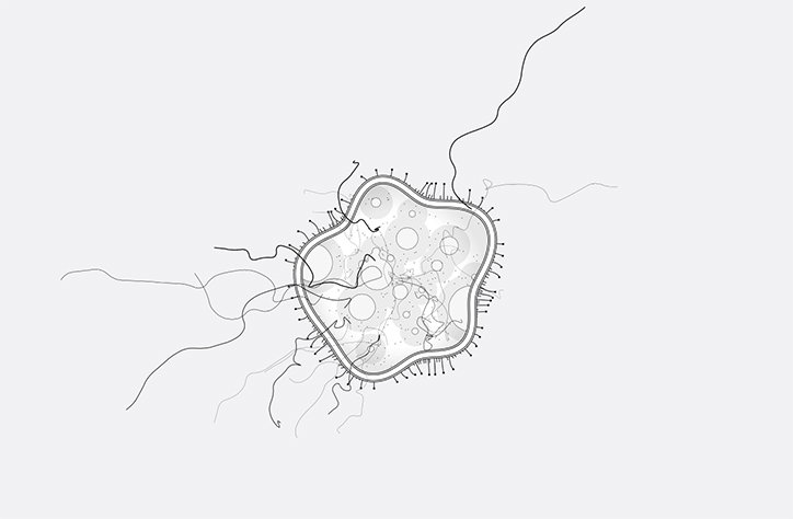 codedoodl.es-itsnicethat-6.jpg