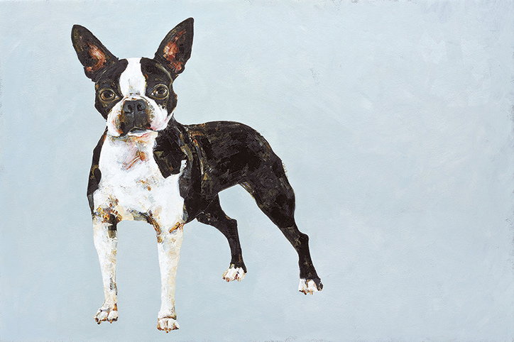 Constance-Bachmann-Boston-Terrierthe-book-of-the-dog-its-nice-that.jpg