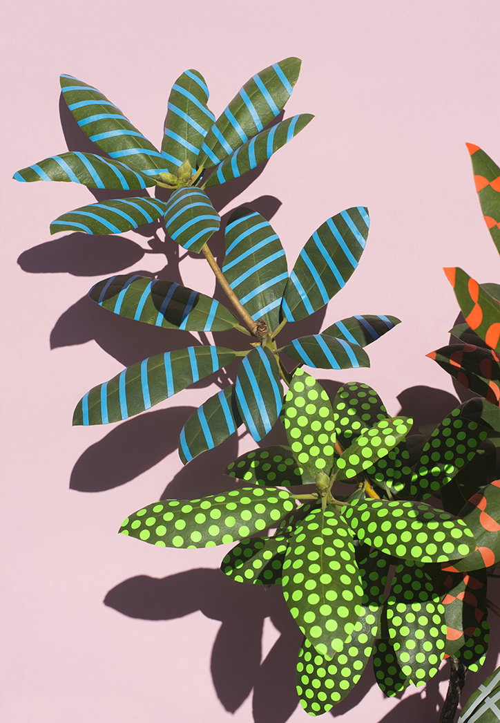 Sarah_Illenberger_Wonderplants_INT_3.jpg