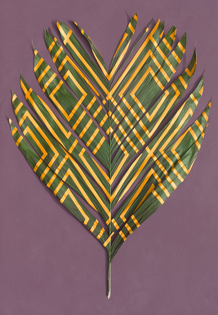 Sarah_Illenberger_Wonderplants_INT_9.jpg
