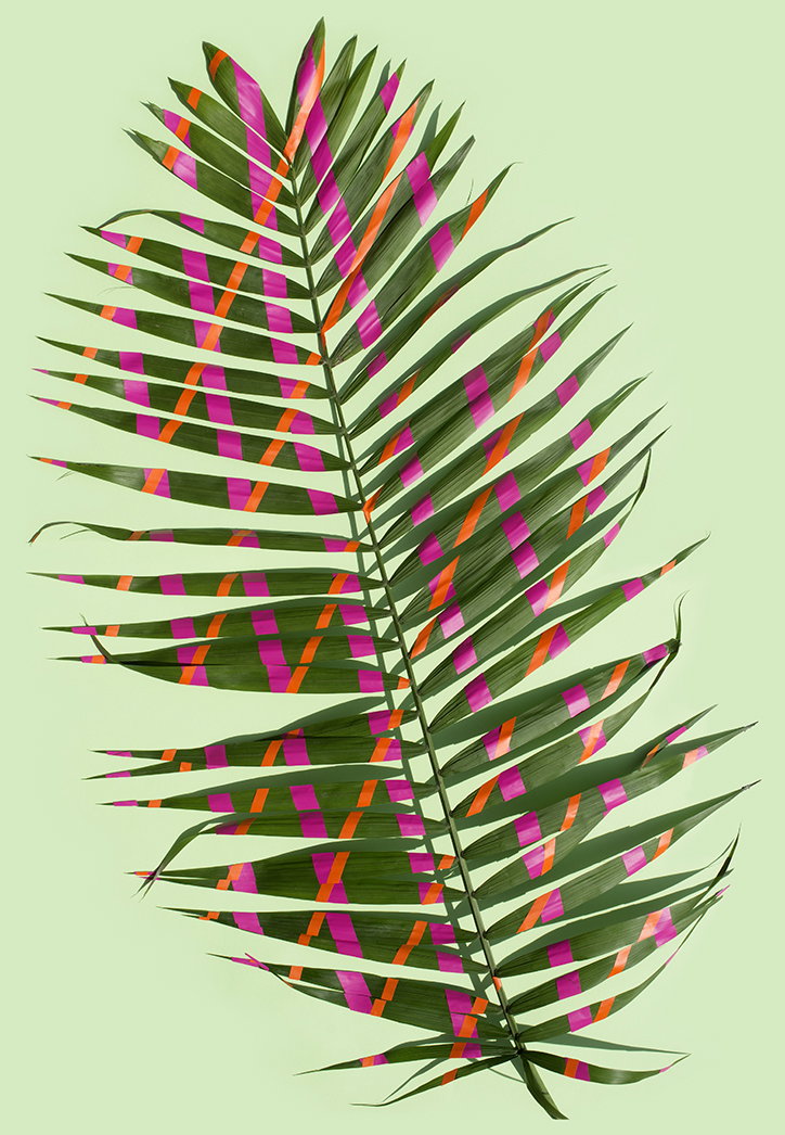 Sarah_Illenberger_Wonderplants_INT_4.jpg