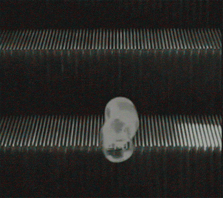 dennis-cooper-itsnicethat-4.gif