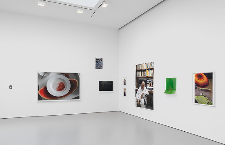 WT-itsnicethat-installation-1.jpg