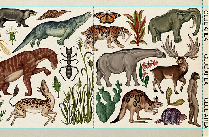 KatieScott-Evolution-01-int.jpg