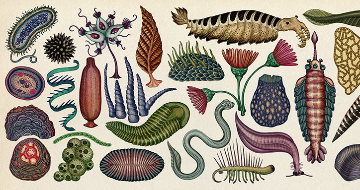 KatieScott-Evolution-04-int.jpg