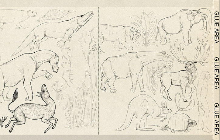 KatieScott-Evolution-03-edit-int.jpg