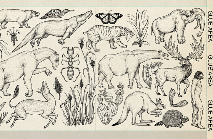KatieScott-Evolution-02-int.jpg