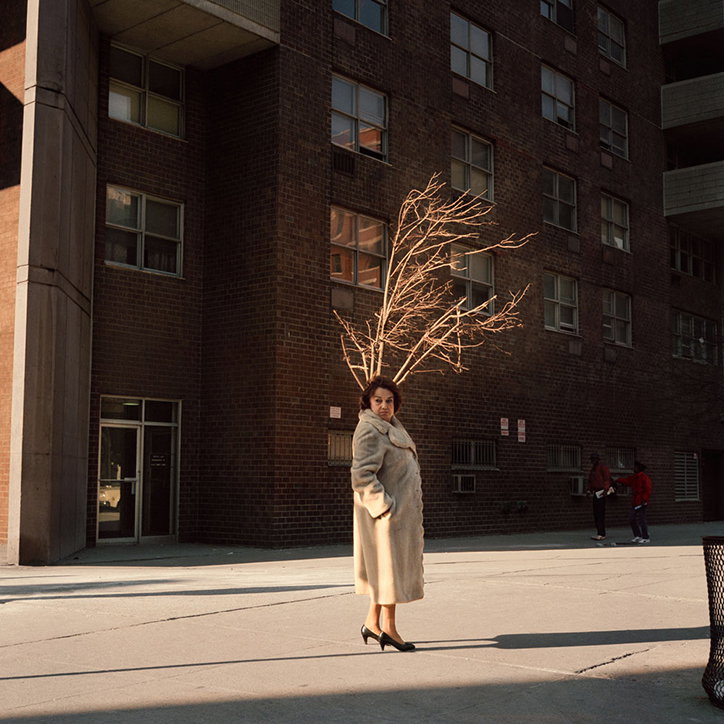 Janet_Delaney_NY_City_INT_2.jpg