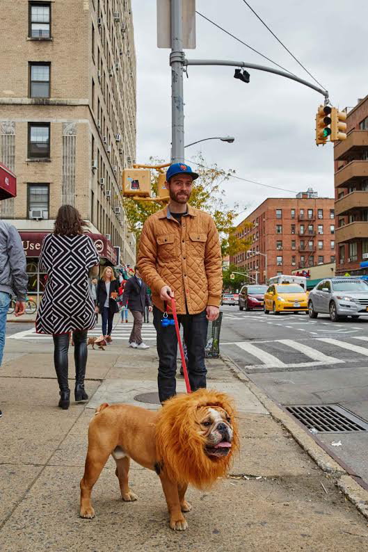 Dogpark-04-int.jpg