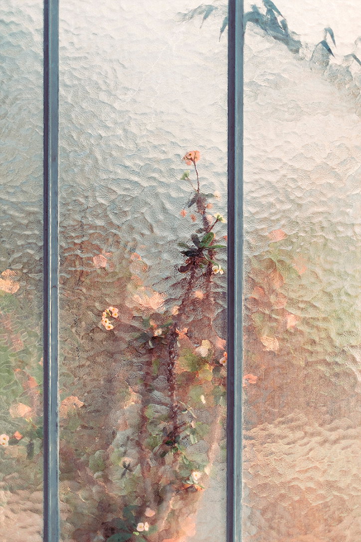samuel-zeller-botanical_INT_10.jpg