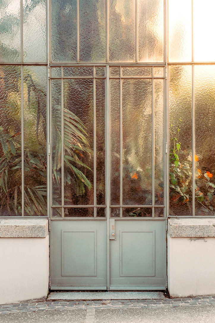 samuel-zeller-botanical_INT_7.jpg