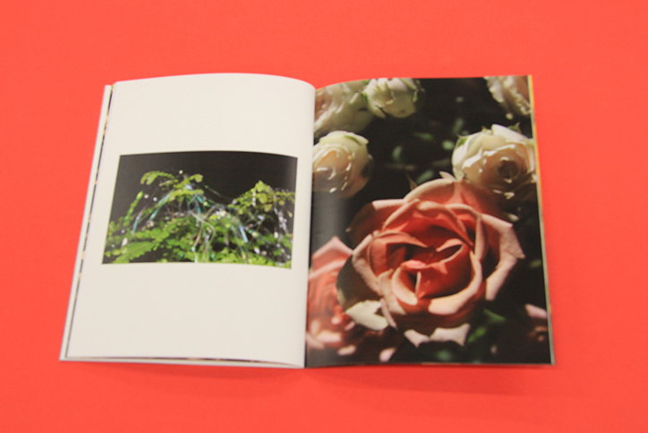 THINGS-onflora-02-int.jpg