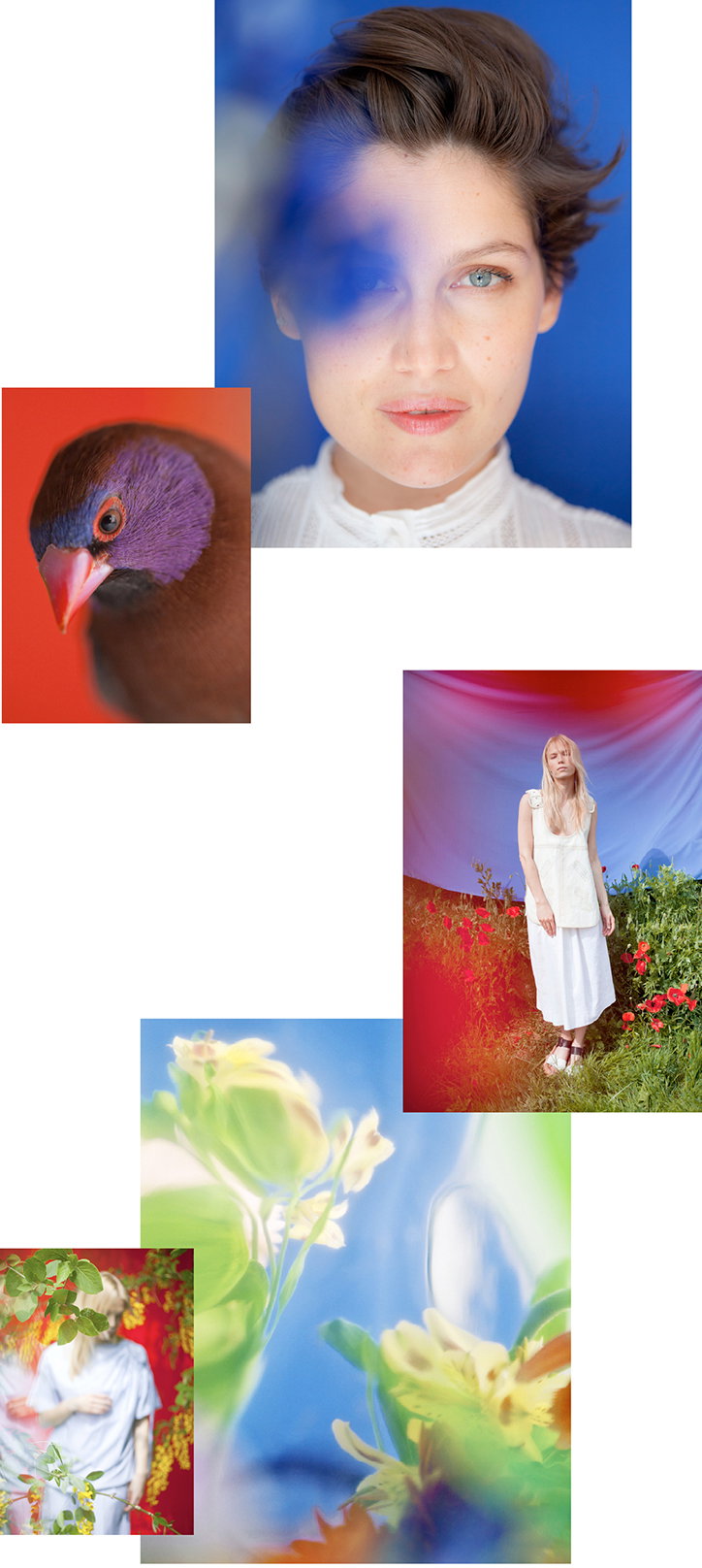 Paul_Rousteau_It's_Nice_That_2.jpg