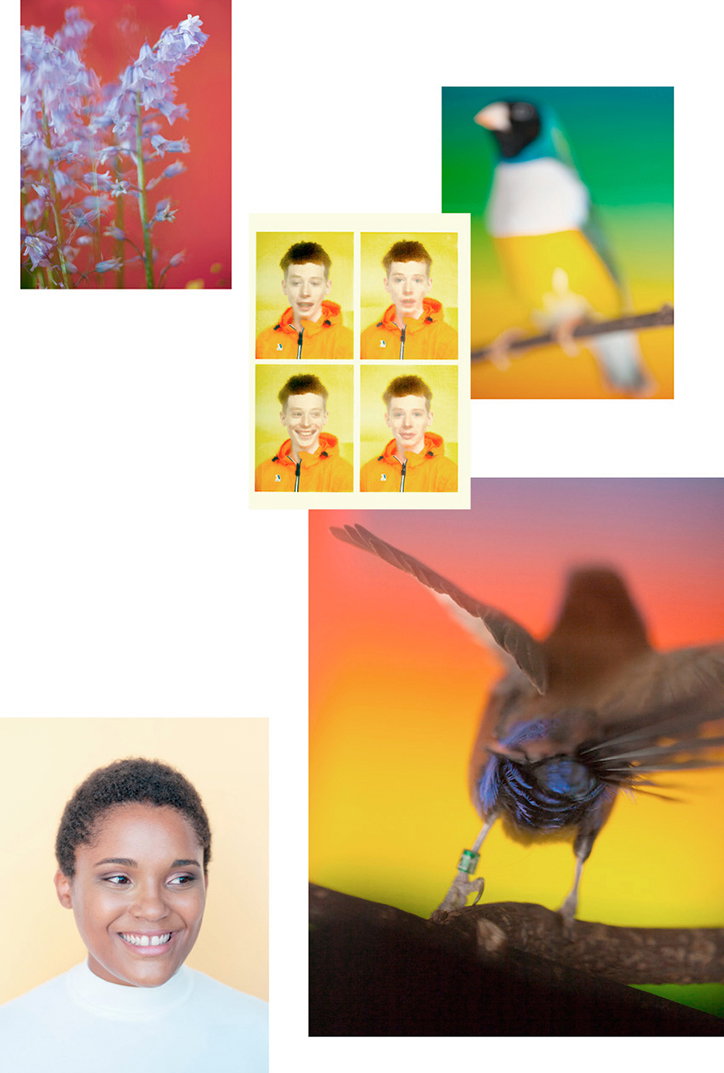 Paul_Rousteau_Its_Nice_That_9.jpg
