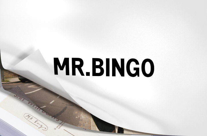 Review of the Year 2015: illustrator Mr Bingo