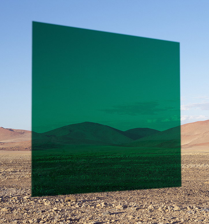 final_©Viviane_Sassen_Green_Vlei.jpg