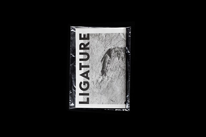 ligature-int-2.jpg