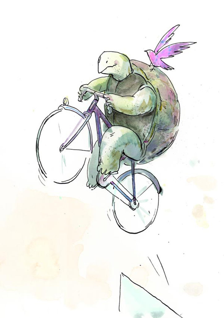 An illustration of a green turtle riding a bicycle. A small, pink and purple bird perches on the turtle’s shell.