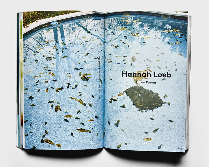AmericanChordata-Issue02-09-int.jpg